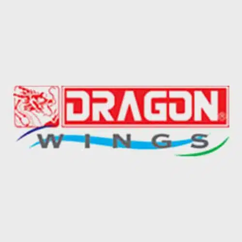 Dragon Wings