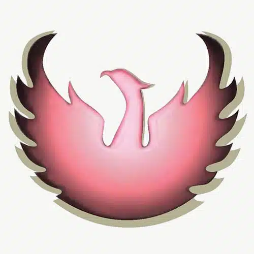 Phoenix Models